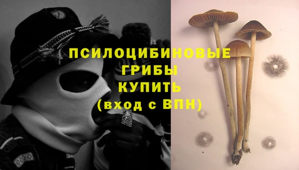 синтетический гашиш Дмитриев