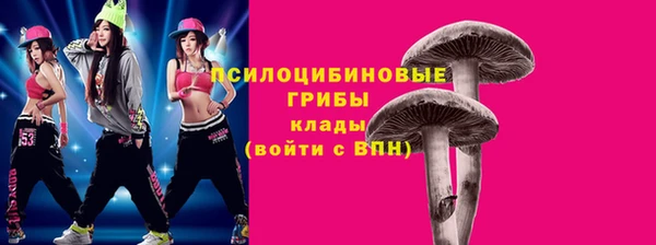 синтетический гашиш Дмитриев
