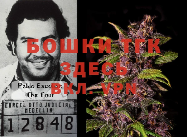 гидра Дмитров