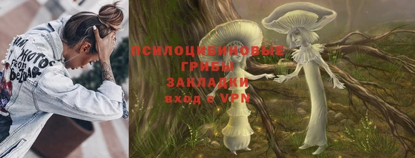 гидра Дмитров