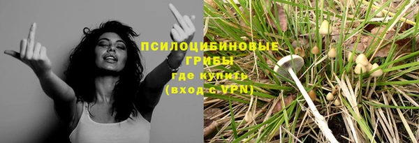 гидра Дмитров