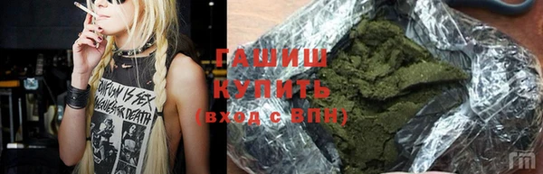 гидра Дмитров