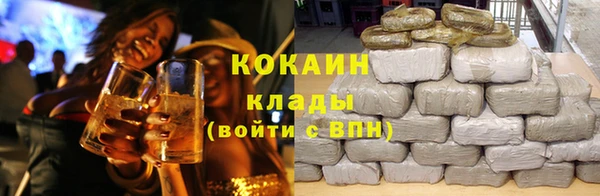 гидра Дмитров
